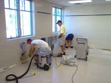 Mold Removal Services Atlanta