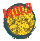 MOLD-IMAGE1