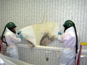 Mold Removal Company Atlanta GA