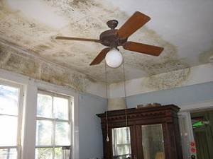 Mold Remediation Services Atlanta GA