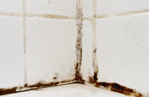 House Mold Atlanta GA