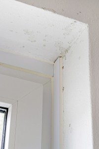 Mold Removal Service Atlanta GA