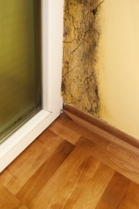 Mold in Homes Atlanta GA