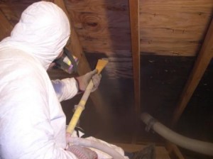 Mold Removal Companies Lawrenceville GA