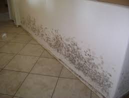 Mold Removal Service Roswell GA