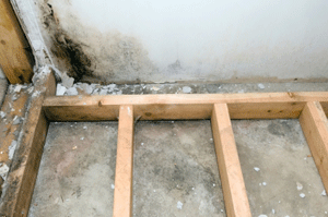 Mold Removal and Remediation Lawrenceville GA